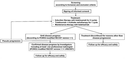 Multisite Radiotherapy Combined With Tislelizumab for Metastatic Castration-Resistant Prostate Cancer With Second-Line and Above Therapy Failure: Study Protocol for an Open-Label, Single-Arm, Phase Ib/II Study